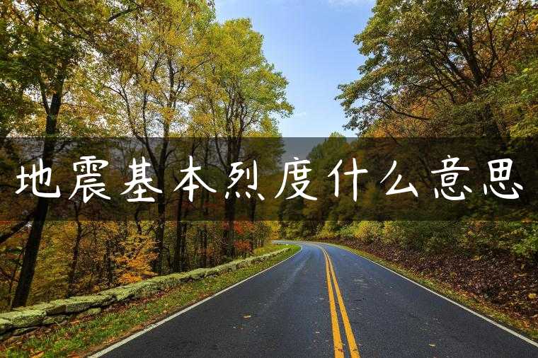 地震基本烈度什么意思