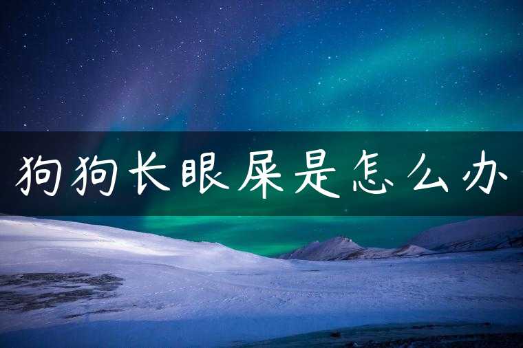 狗狗长眼屎是怎么办