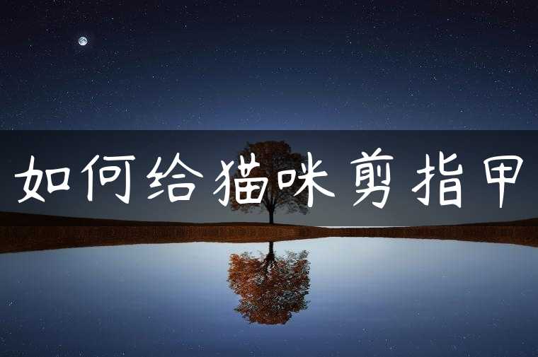 如何给猫咪剪指甲