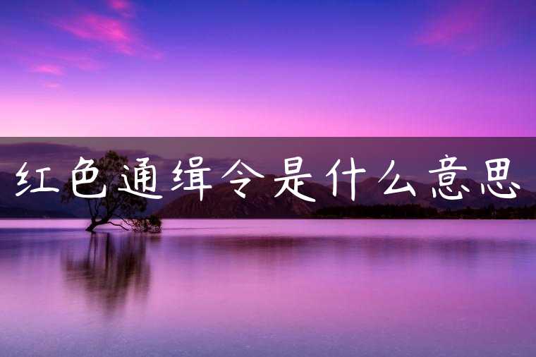 红色通缉令是什么意思