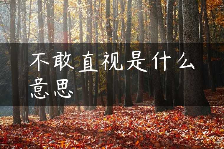 不敢直视是什么意思