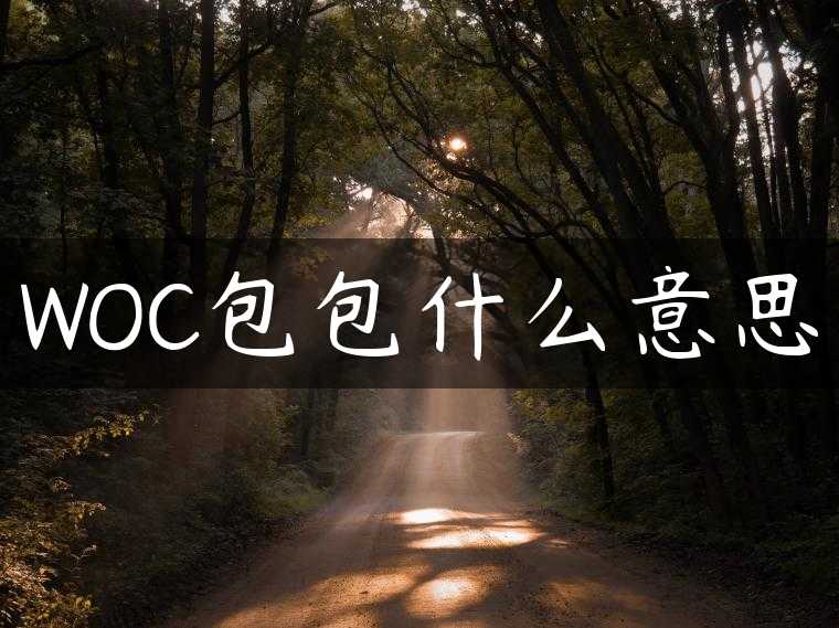 WOC包包什么意思