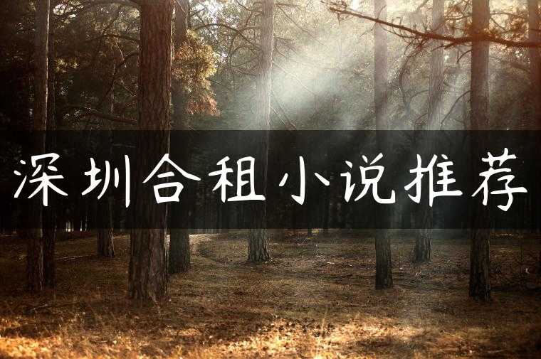 深圳合租小说推荐