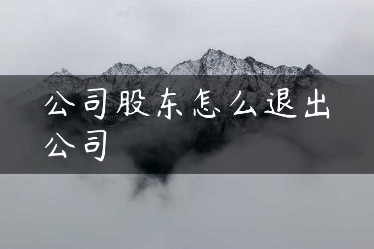 公司股东怎么退出公司