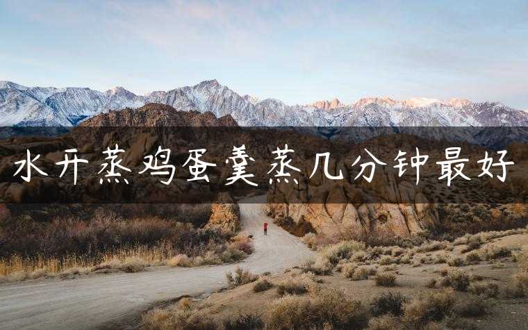 水开蒸鸡蛋羹蒸几分钟最好