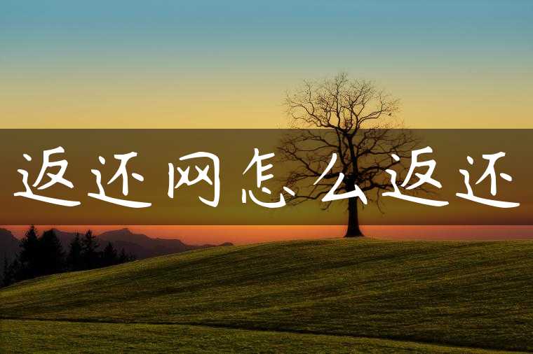 返还网怎么返还
