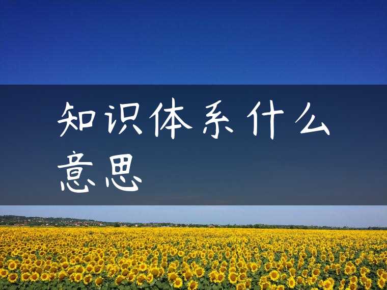 知识体系什么意思