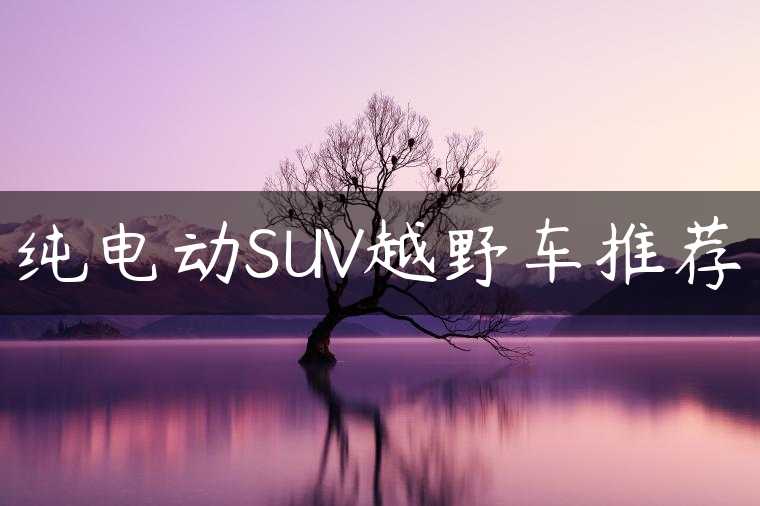 纯电动SUV越野车推荐