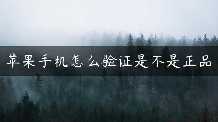 苹果手机怎么验证是不是正品