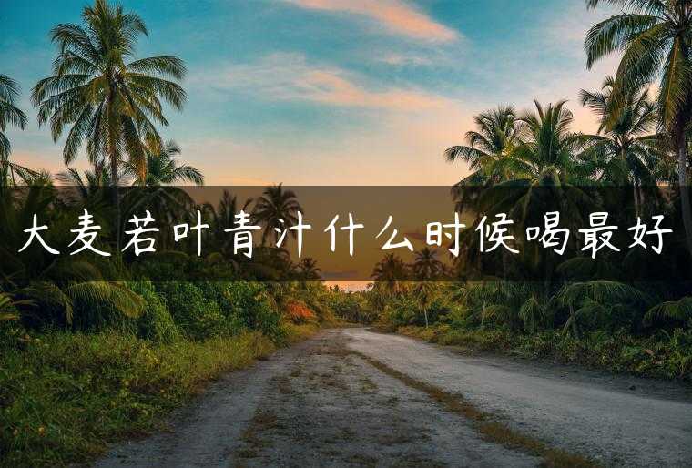 大麦若叶青汁什么时候喝最好