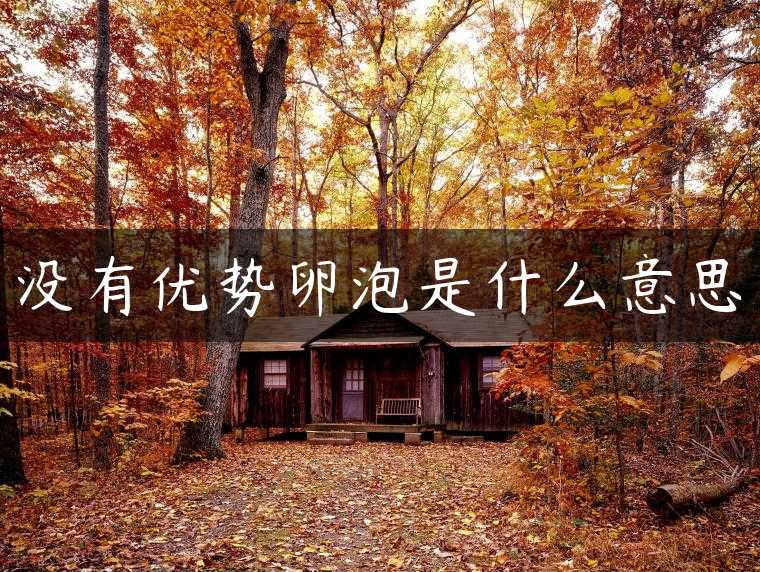没有优势卵泡是什么意思