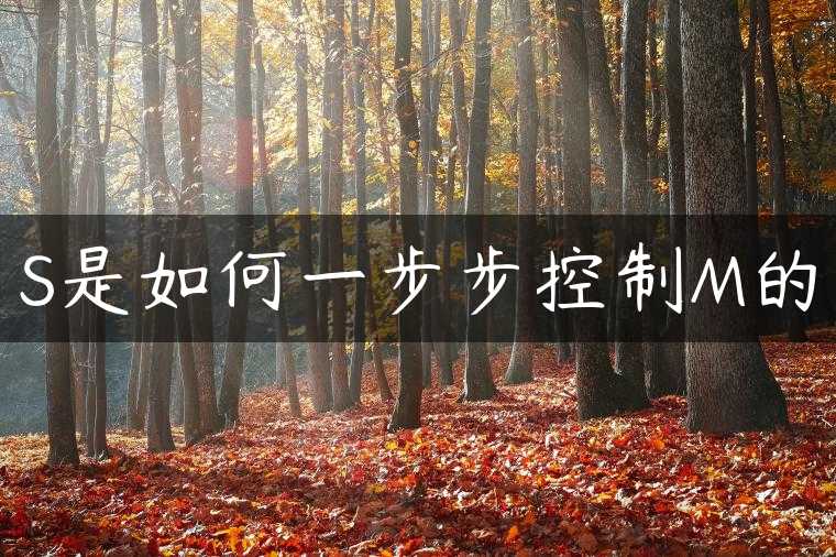 S是如何一步步控制M的
