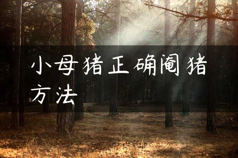 小母猪正确阉猪方法