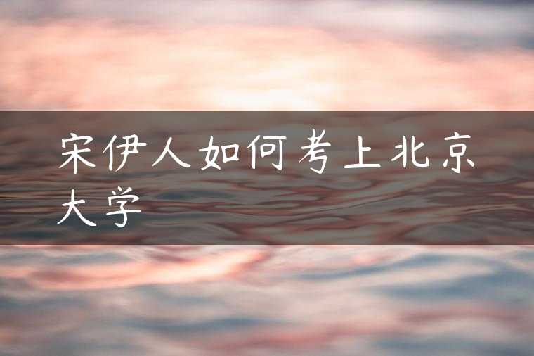 宋伊人如何考上北京大学