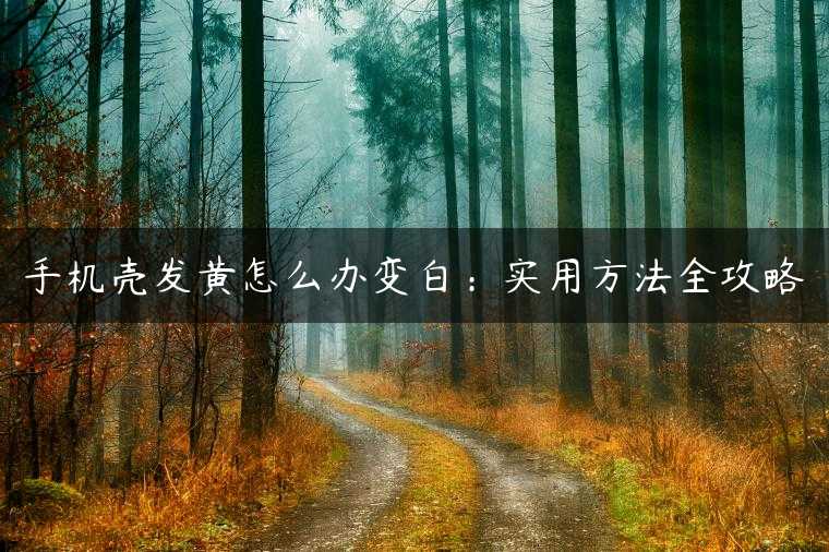 手机壳发黄怎么办变白：实用方法全攻略