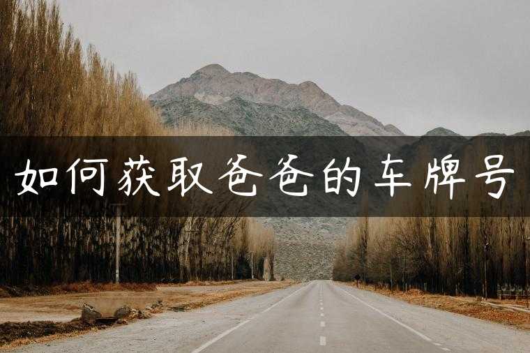 如何获取爸爸的车牌号