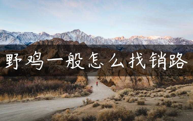野鸡一般怎么找销路