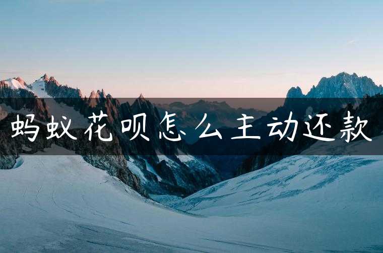 蚂蚁花呗怎么主动还款