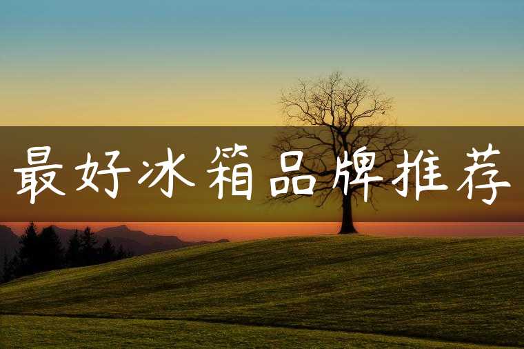 最好冰箱品牌推荐