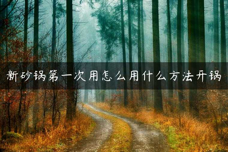 新砂锅第一次用怎么用什么方法开锅