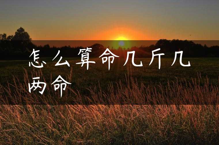 怎么算命几斤几两命