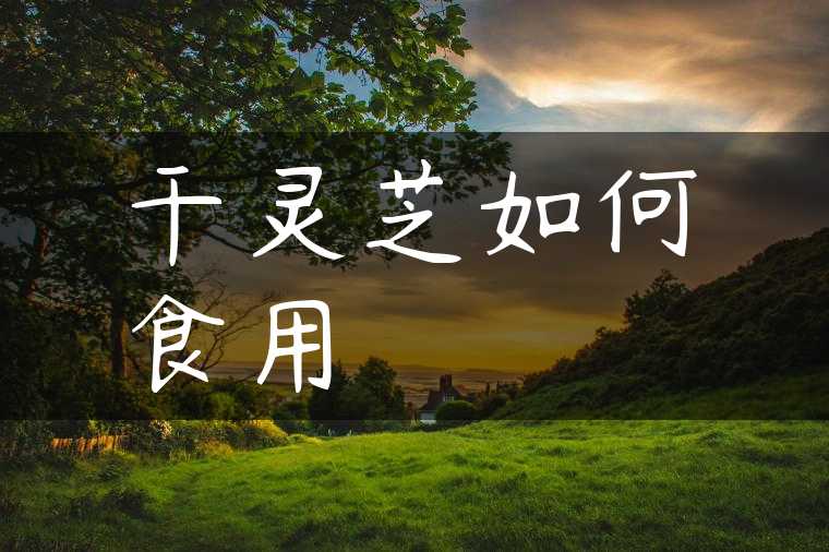 干灵芝如何食用