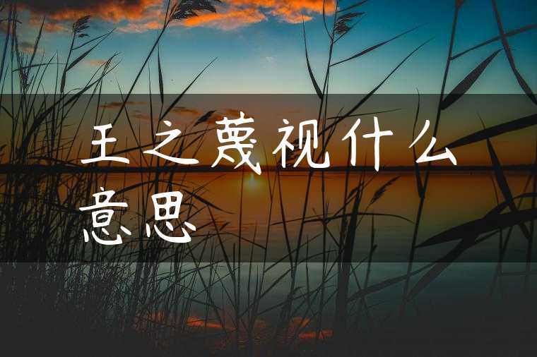 王之蔑视什么意思