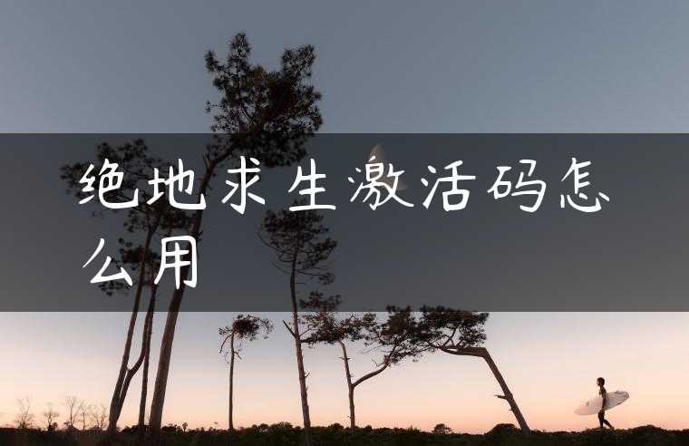 绝地求生激活码怎么用