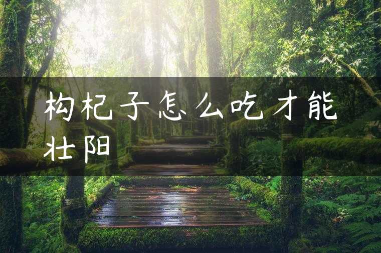 构杞子怎么吃才能壮阳