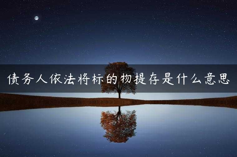 债务人依法将标的物提存是什么意思