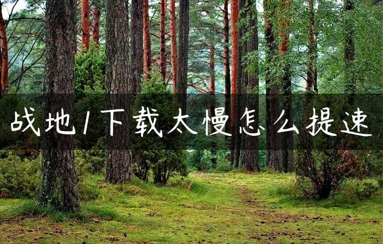 战地1下载太慢怎么提速