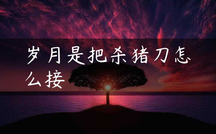 岁月是把杀猪刀怎么接