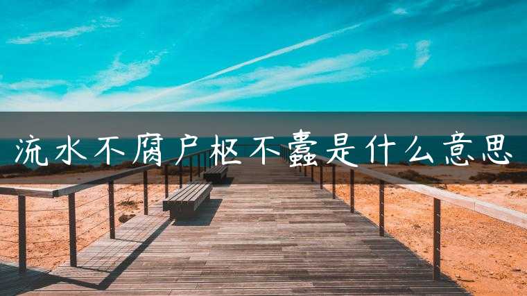 流水不腐户枢不蠹是什么意思