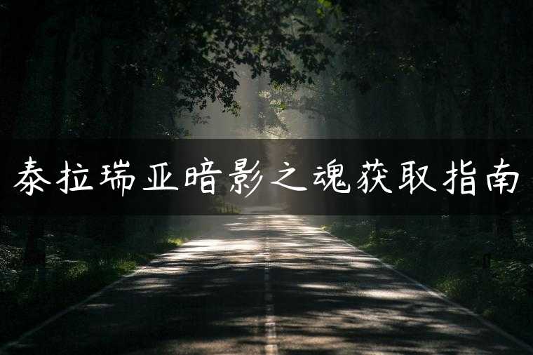 泰拉瑞亚暗影之魂获取指南