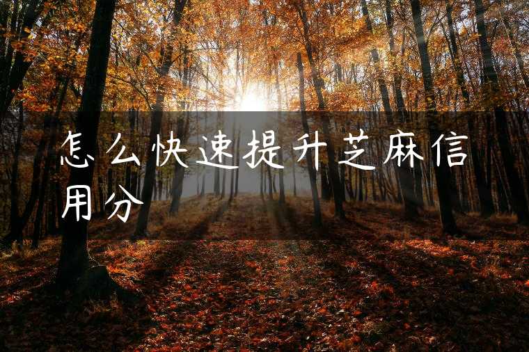 怎么快速提升芝麻信用分