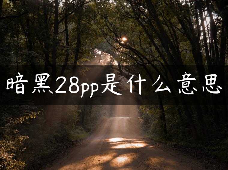 暗黑28pp是什么意思