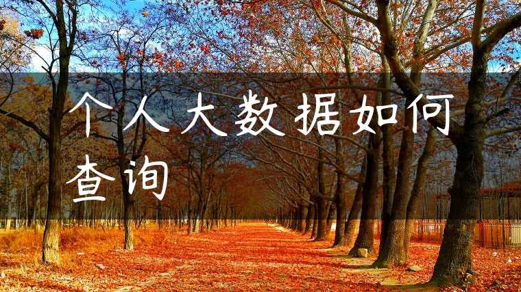 个人大数据如何查询