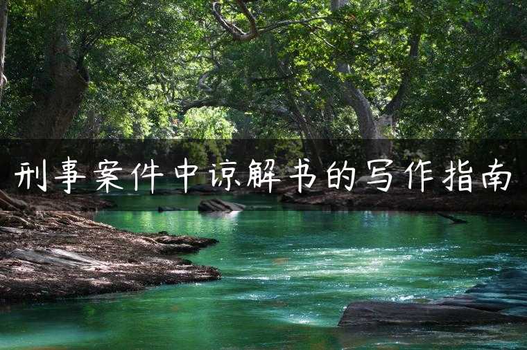 刑事案件中谅解书的写作指南