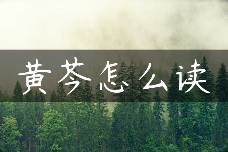 黄芩怎么读