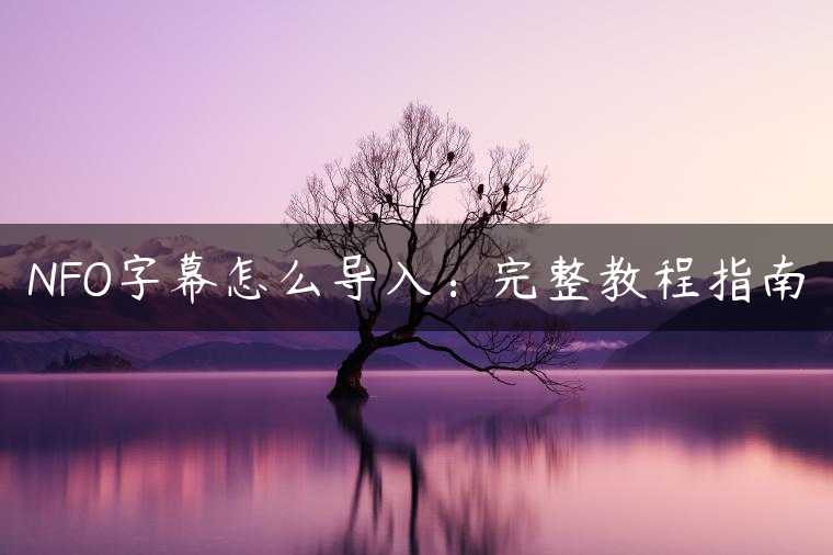 NFO字幕怎么导入：完整教程指南