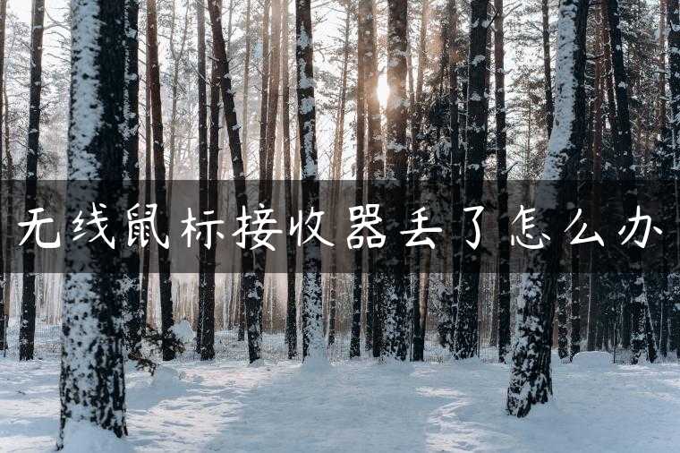 无线鼠标接收器丢了怎么办