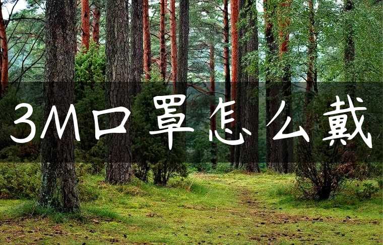 3M口罩怎么戴