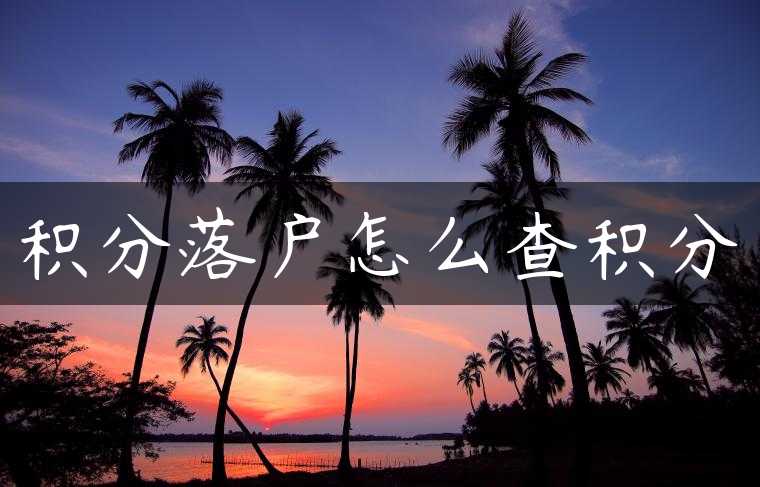 积分落户怎么查积分