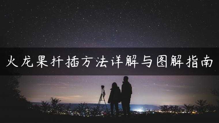 火龙果扦插方法详解与图解指南