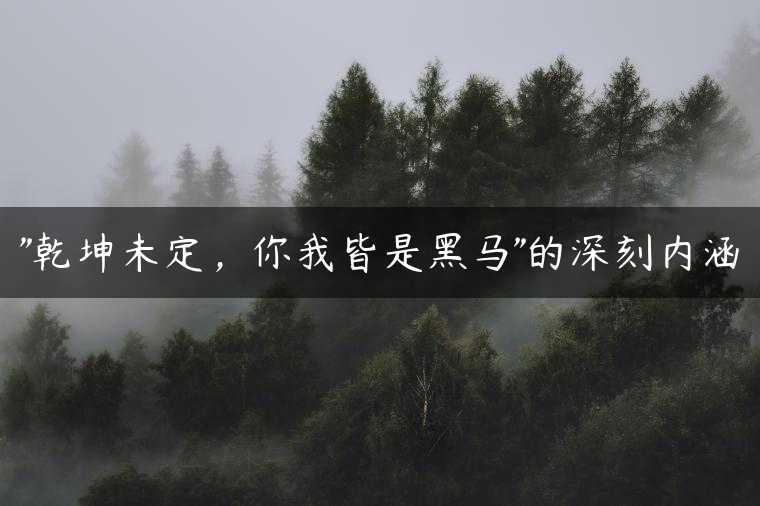 “乾坤未定，你我皆是黑马”的深刻内涵