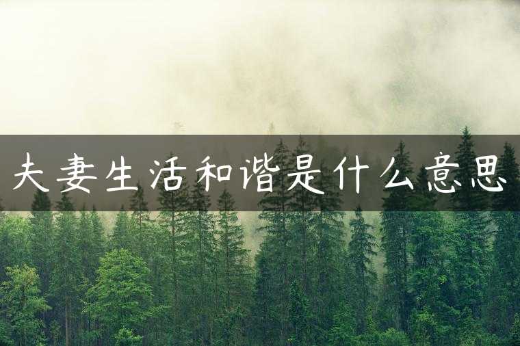 夫妻生活和谐是什么意思