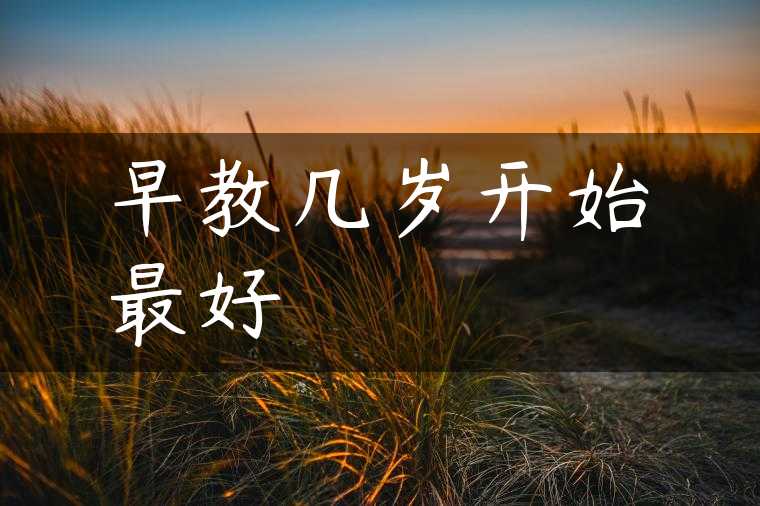 早教几岁开始最好