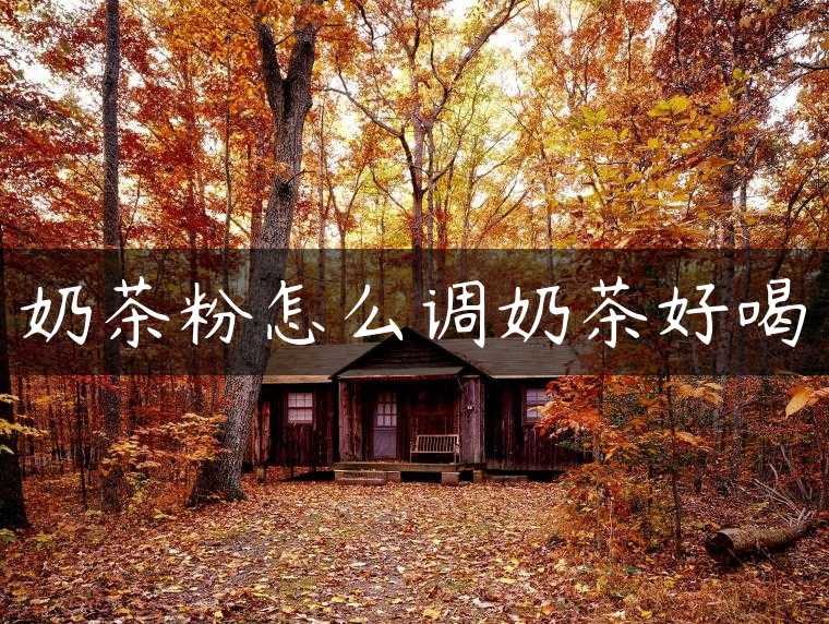 奶茶粉怎么调奶茶好喝