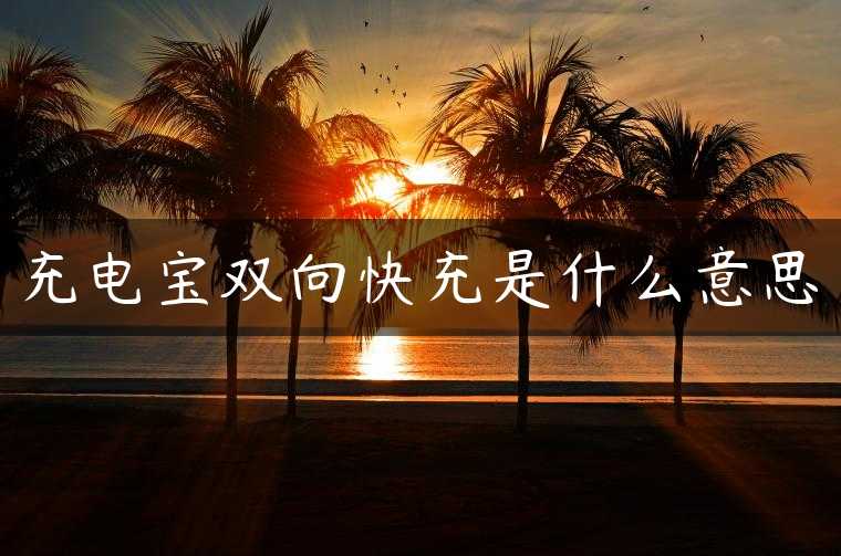 充电宝双向快充是什么意思
