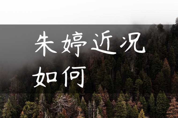 朱婷近况如何